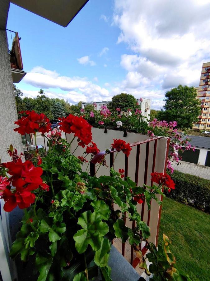 Loft House Sopot Apartament Apartment Ngoại thất bức ảnh